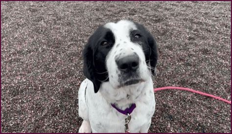 Can I Get My Permit And License In The Same Day In Georgia