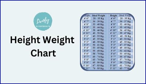 Dido Bra Size, Age, Weight, Height, Measurements