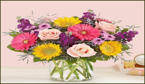 Rainbow Oliver: Petal Blossom's Viral Garden Sensation!